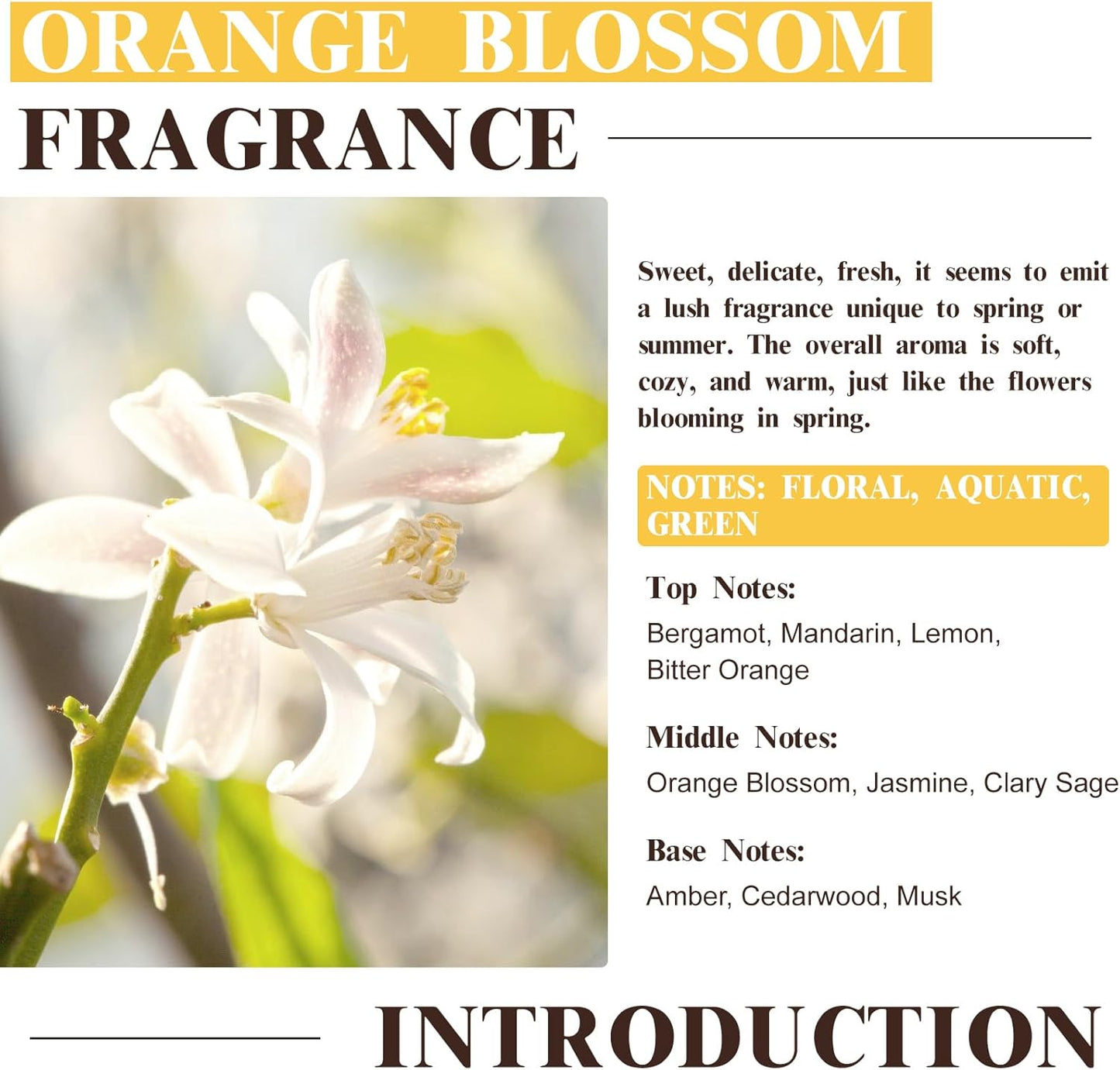 Apelsinų žiedų kvapo aliejai, 60 ml eterinių aliejų su stikliniu lašintuvu difuzoriams, muilo žvakių gamybai, aromaterapijai